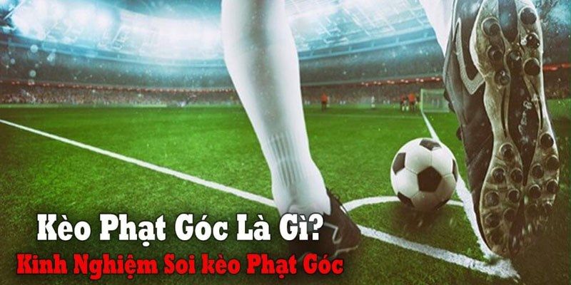 Nghiên cứu đội hình thi đấu của hai đội