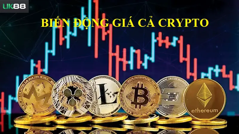 Biến động giá cả crypto ở các sàn giao dịch
